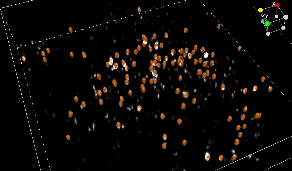 ../img/eng/ga3_workflow_3d_counting_04.png image