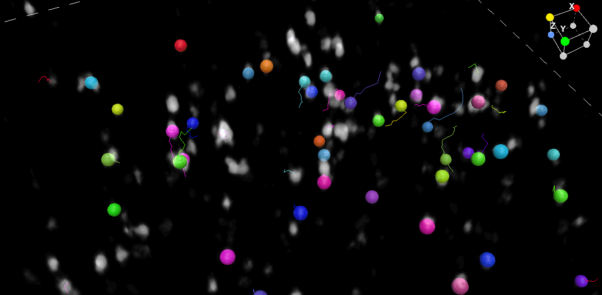 ../img/eng/ga3_workflow_3d_counting_08.png image