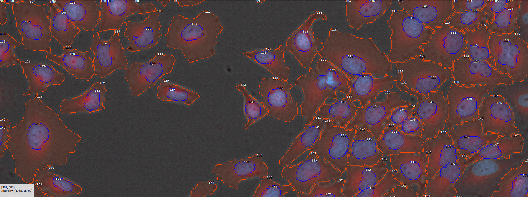 ../img/eng/ga3_workflow_cellmeas_01.png image
