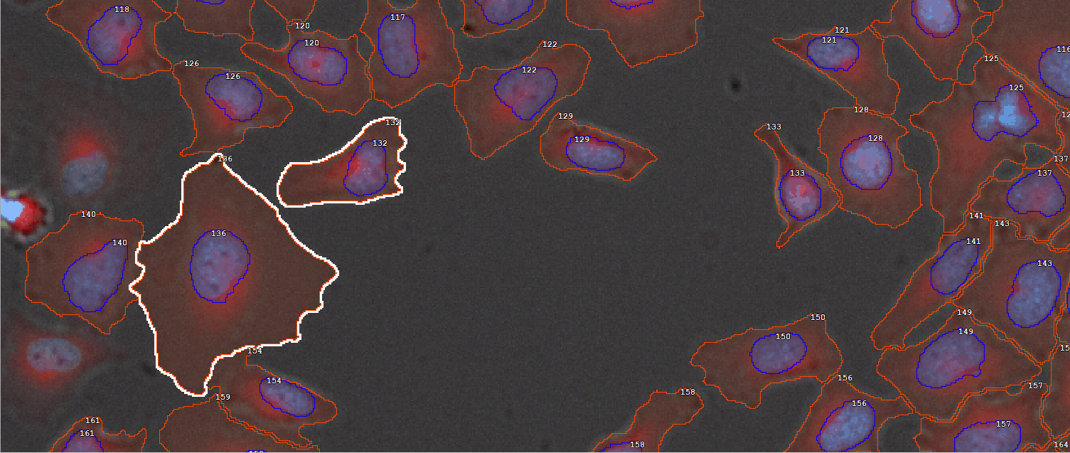 ../img/eng/ga3_workflow_cellmeas_09.png image