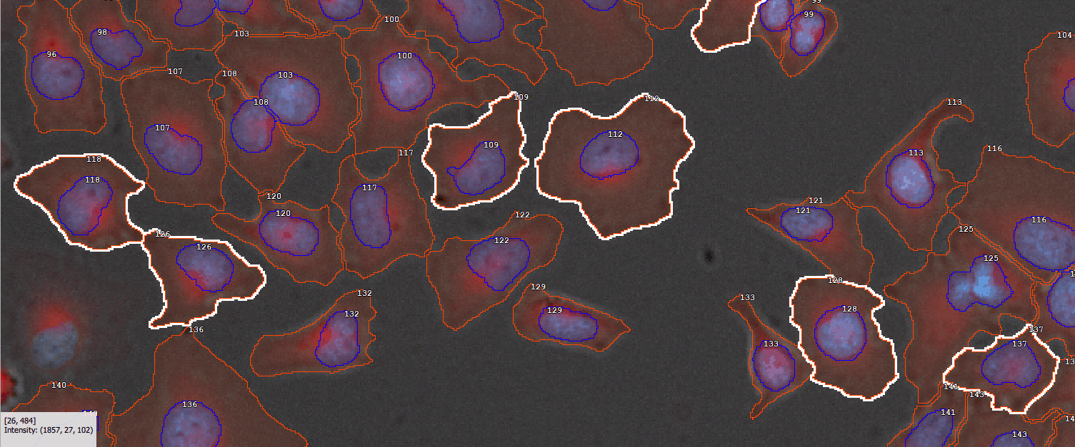 ../img/eng/ga3_workflow_cellmeas_11.png image