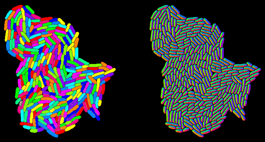 ../img/eng/ga3_workflow_python_integration_16.png image