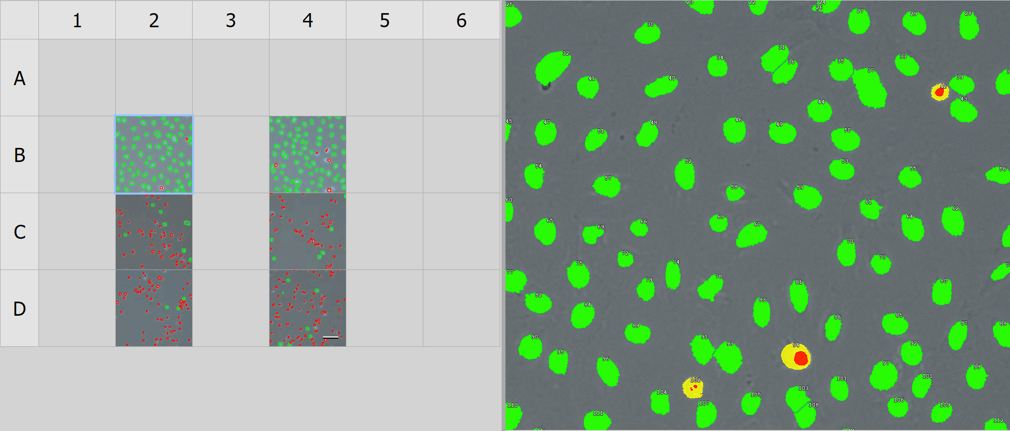 ../img/eng/ga3_workflow_wellplate_01.png image