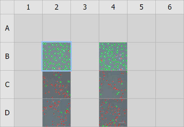 ../img/eng/ga3_workflow_wellplate_09.png image