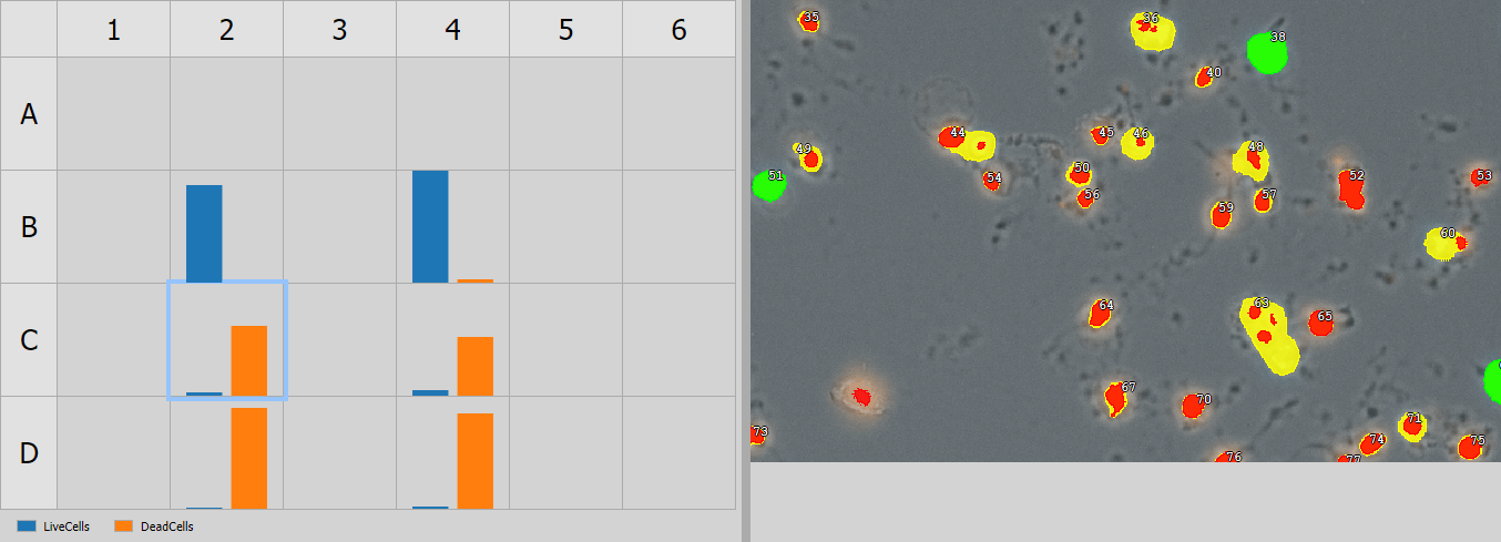 ../img/eng/ga3_workflow_wellplate_16.png image