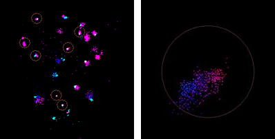 ../img/eng/moleculedetection_drift_correction_color_with_frame.png image