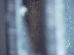 ../img/ga3_workflow_align_frames_before.gif image