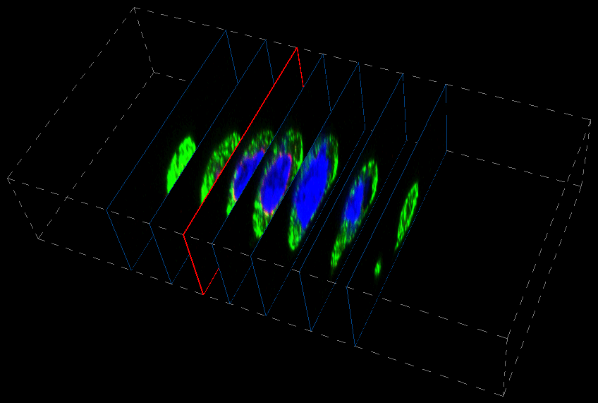../img/volumeview_slice.png image