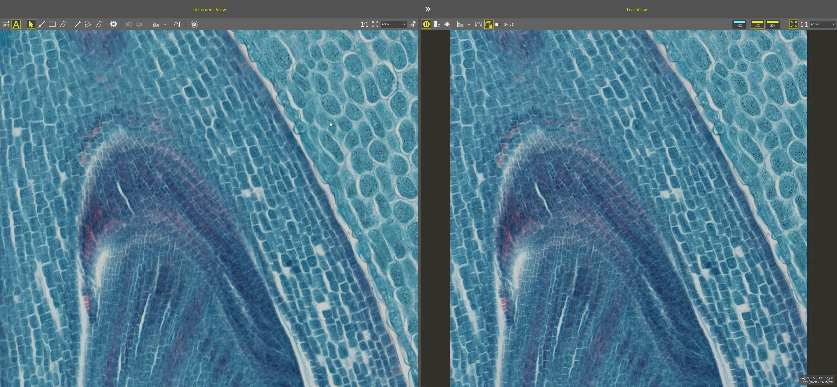 ../img/eng/nis_ss_live_view.png image