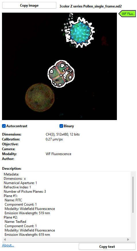 ../img/eng/organizer_tag_preview_large.png image
